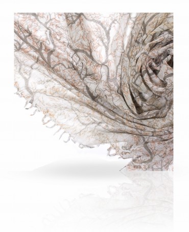 Палантин Женский W-TREE2/GR.CLWFRL